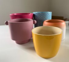 Übertöpfe Pflanzen 5 Stk für 3.-