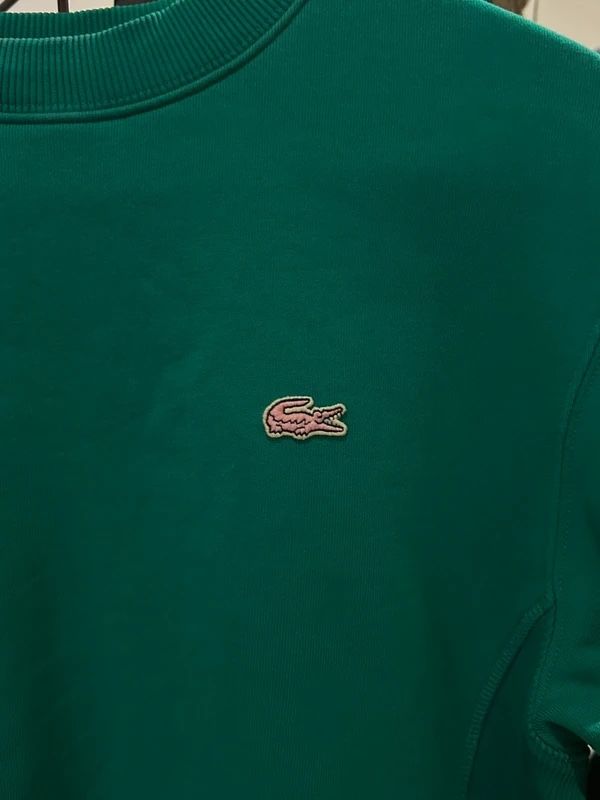 Lacoste Maglioni & Felpe: LACOSTE Pullover Unisex S/M – Usato da Aarau venduto da Karaa_Sev09 1