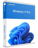 Windows 11 Pro Key DE/FR/EN/IT