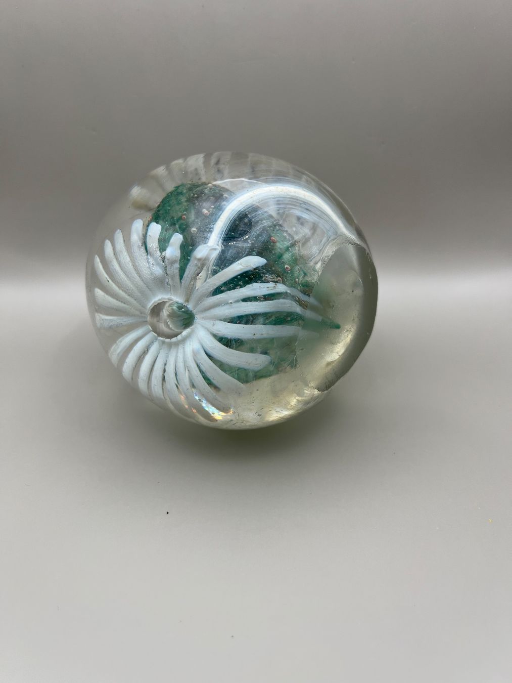 Murano Bicchieri: Murano paper weight – Usato da Zürich venduto da omni64 5