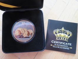 China 10 Yuan Panda Münze 2013/ 1Oz Silber Gold Black Empire