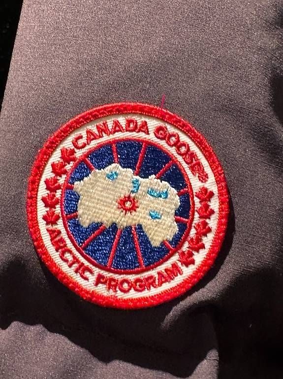 Canada Goose Giacche: Canada Goose Winterjacke, Grösse L – Usato da Chur venduto da tan_qx6b 2