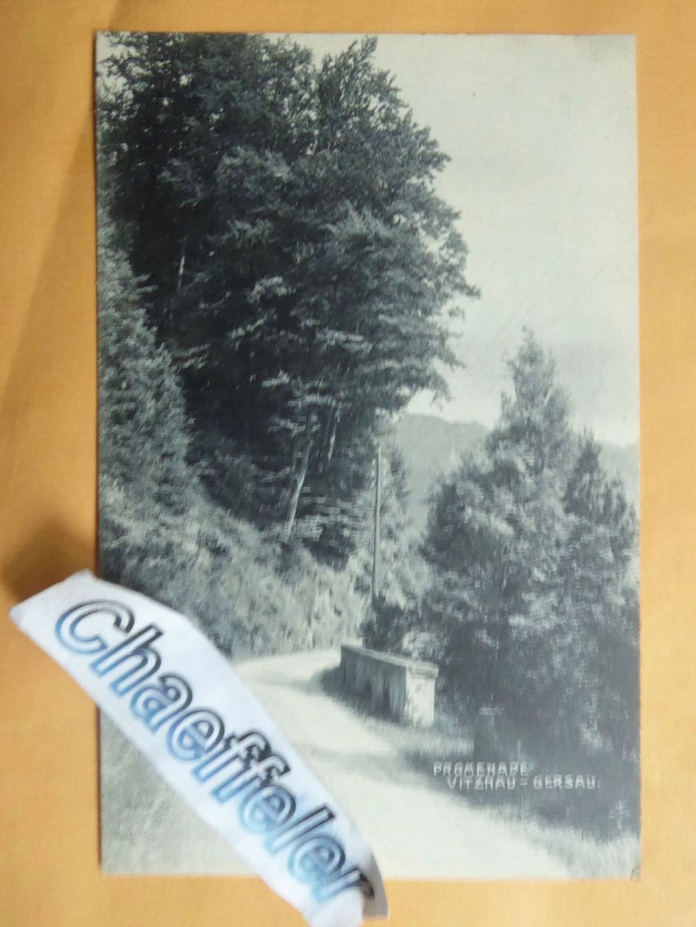 Cartoline postali: Promenade  Vitznau - Gersau – Nuovo (secondo la descrizione) da Zürich venduto da Chaeffeler