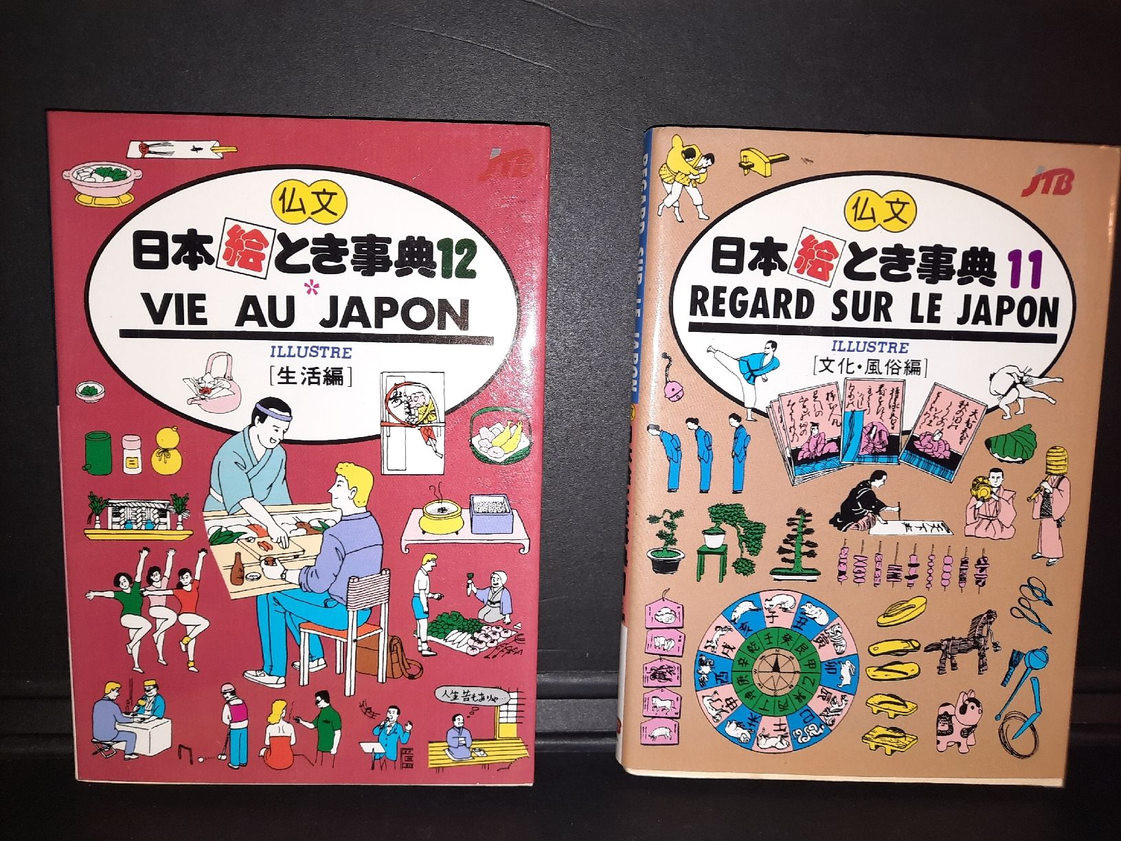 Libri: 2 libri sul Giappone – Usato da Biasca venduto da Old_6blh