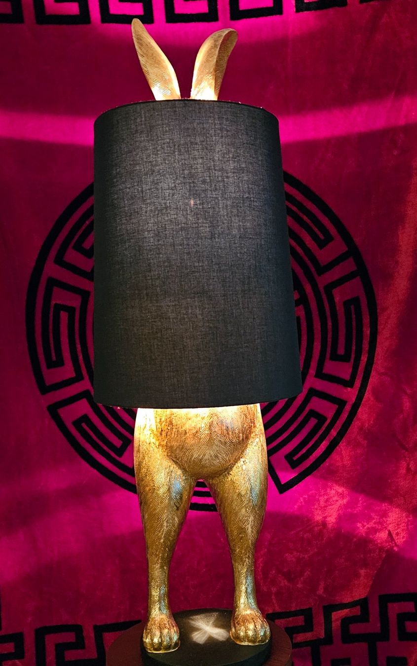 Lampade: Tolle Hasenlampe – Usato da Schaffhausen venduto da frauchiger-consultin 4