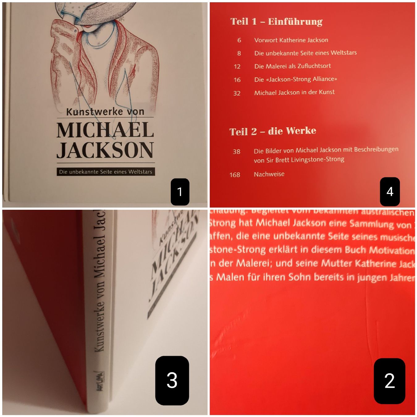Alle DVDs: Michael Jackson: Kunstwerke, Erinnerungen & Story DVD – Gebraucht aus Aesch BL von Charles2018 1