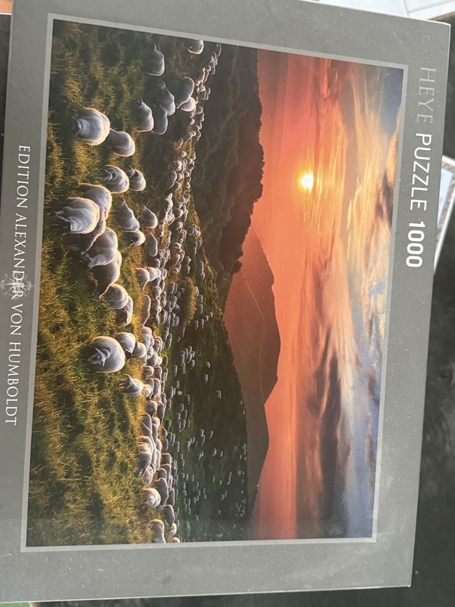 Ravensburger Puzzle: 6 Puzzles zu Verkaufen  – Usato da Muolen venduto da Jassii97 1