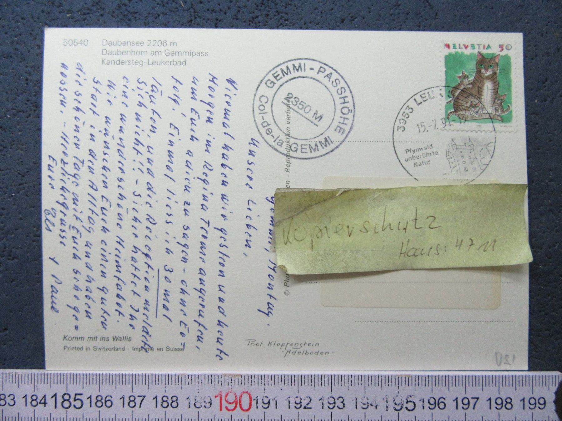 Cartoline postali: DAUBENSEE  GEMMI PASSHÖHE BELEBT VS AK – Usato da Ettingen venduto da Hausi4711 1