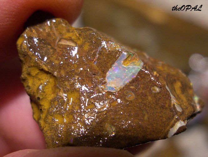 Minerali & Pietre curative: theOPAL *** 8 rohe australische Opale 760ct *** – Nuovo e nell'imballaggio originale da Ebnat-Kappel venduto da theOPAL