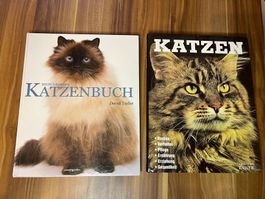LOTTO 2 BUCH KATZEN (b3)