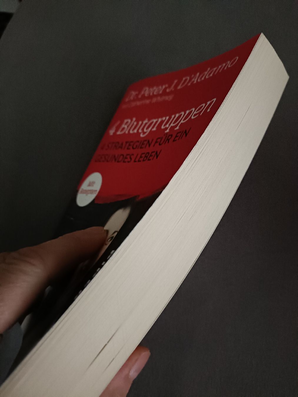 Libri: 4 Blutgruppen – Nuovo (secondo la descrizione) da Gossau SG venduto da scania1509 3