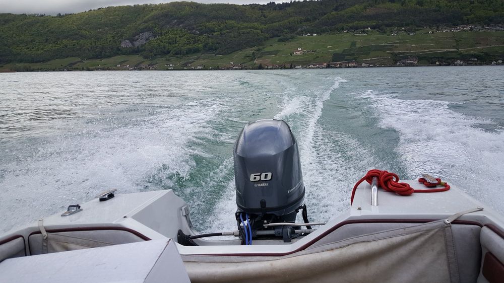 Motorboot 60 PS, für Sport, Familie und Spass /ohne Trailer (Gebraucht ...