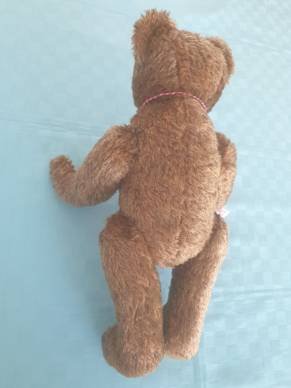 Giocattoli: Teddybär Teddy Clemens – Usato da Mörschwil venduto da spirspi 8