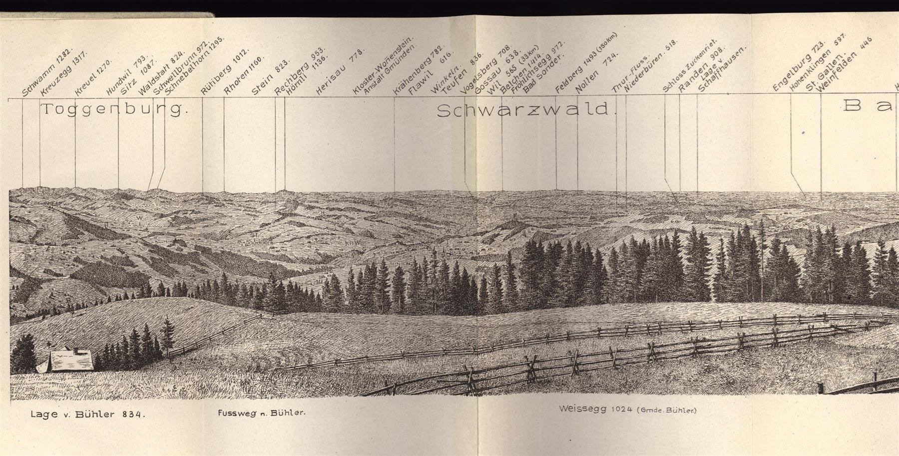 Incisioni: Gäbris  Panorama von Blank 1921 – Usato da Rafz venduto da Helvet32 1