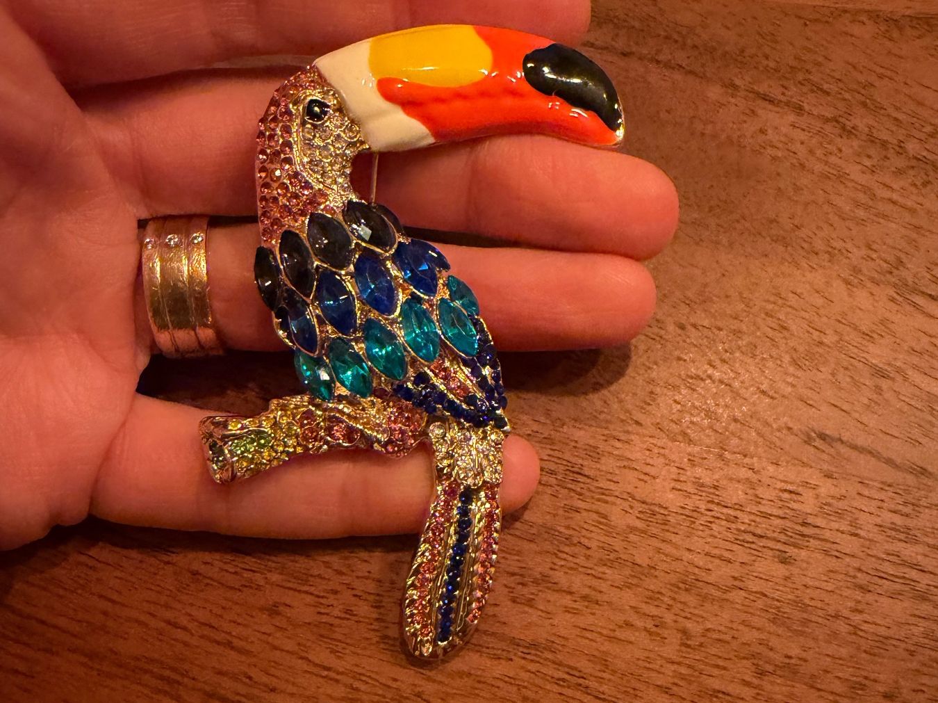 Spille & Fermagli: Toukan Vogel Brosche mit Strass – Nuovo (secondo la descrizione) da Gams venduto da Mariawicca 2