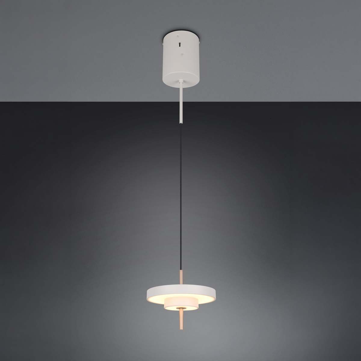 Lampadari & plafoniere: LED Pendelleuchte, Dimmer, CCT, 20 cm Ø – Nuovo (secondo la descrizione) da Kreuzlingen venduto da Smart-Light 1