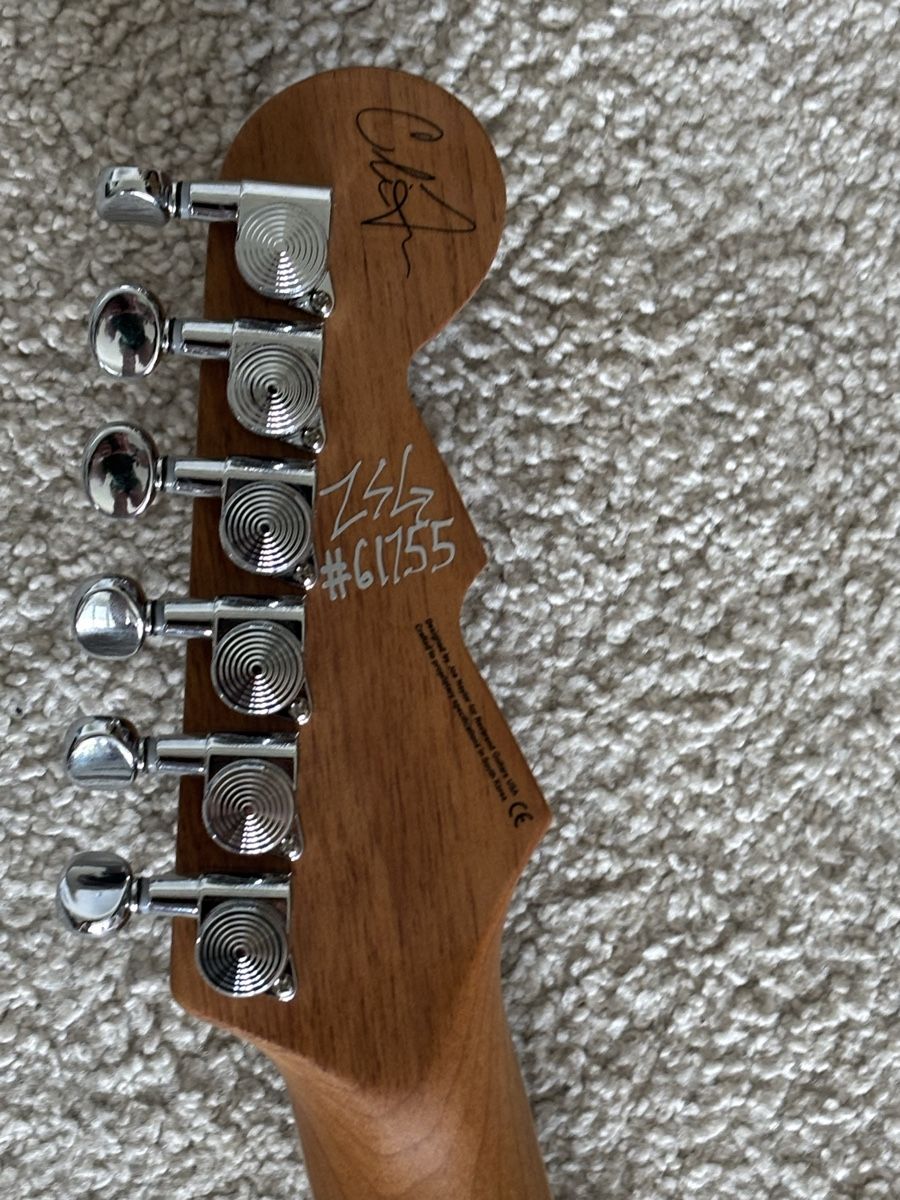 Strumenti musicali: Reverend Chris Freeman Signature – Usato da St. Gallen venduto da zwilling_97 2