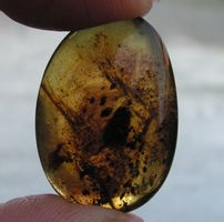 ♥ DOMINIKANISCHER BERNSTEIN CABOCHON ♥