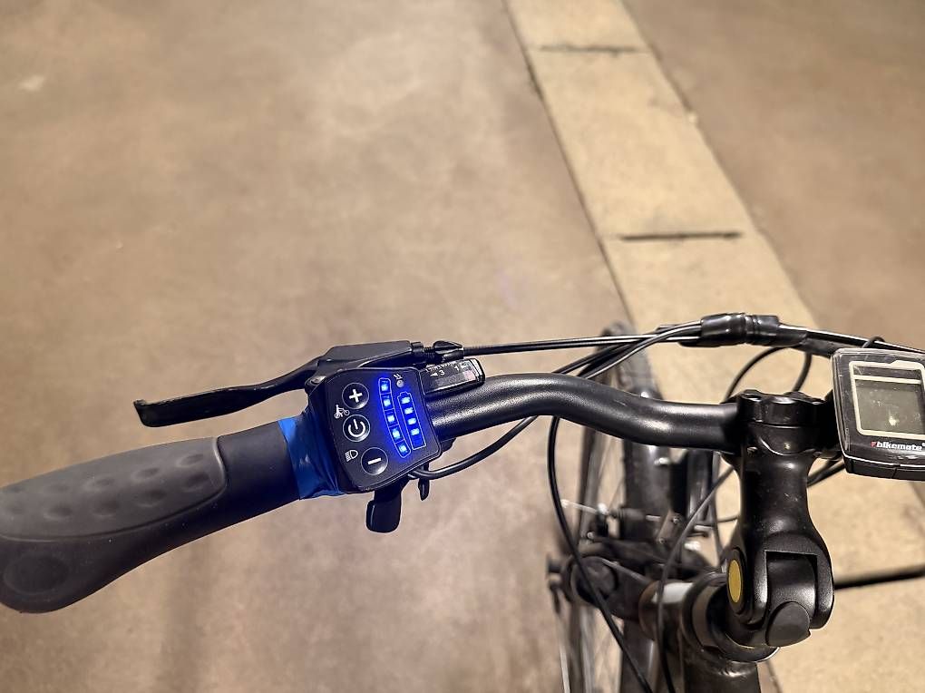 Biciclette: Elektro Velo – Usato da Dietikon venduto da sin_2lzn 3