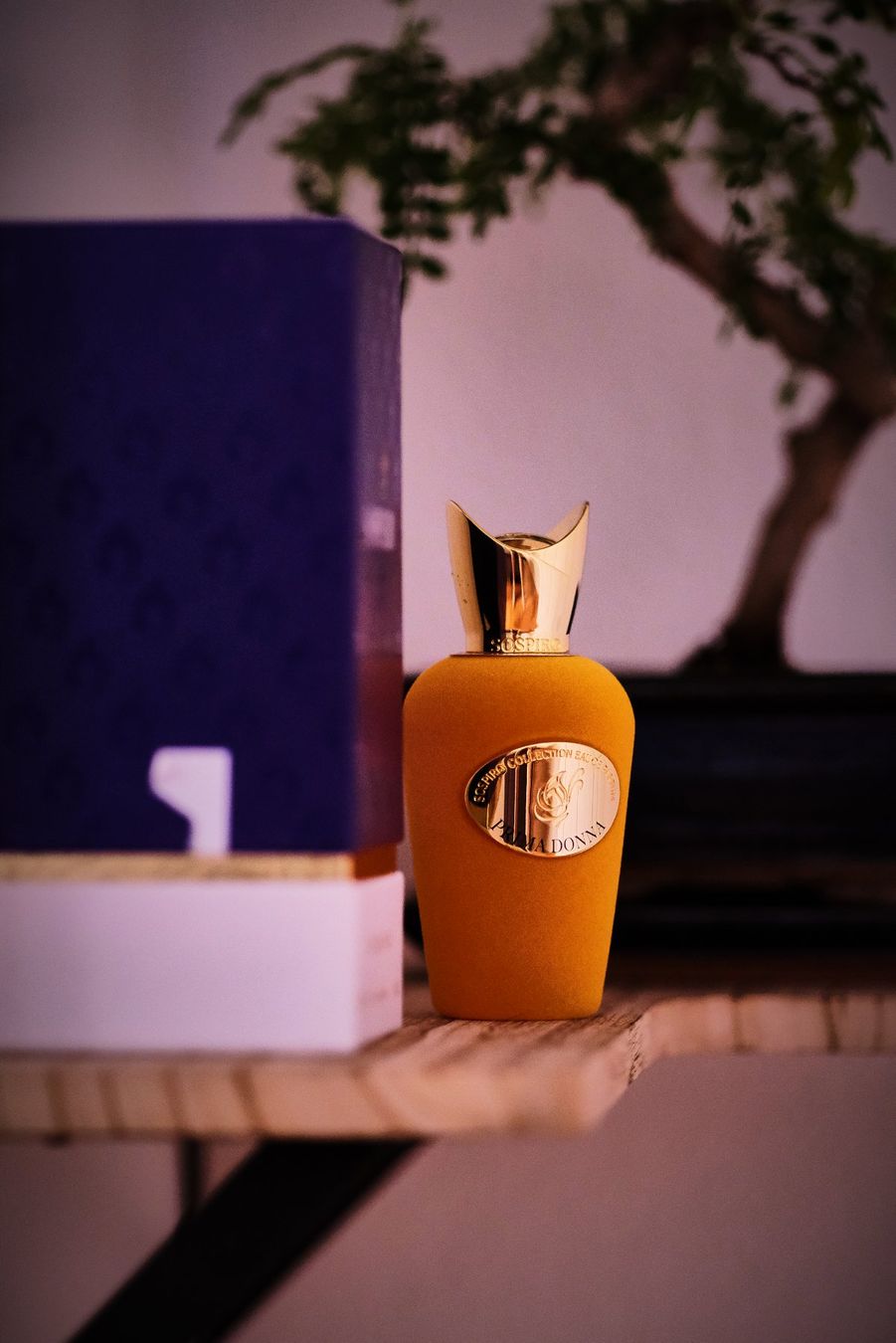 Profumi & Eau de Toilette: Prima Donna, Sospiro (DECANT 1ml, 2ml, 5ml et 10ml) – Usato da Neuchâtel venduto da switzer_scent 1
