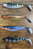 Balzer Shirasu Photo Print Shad 3D - 10 cm