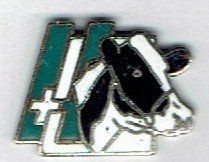 Placchette & Badge: Kuh – Usato da Hinterkappelen venduto da Schampus