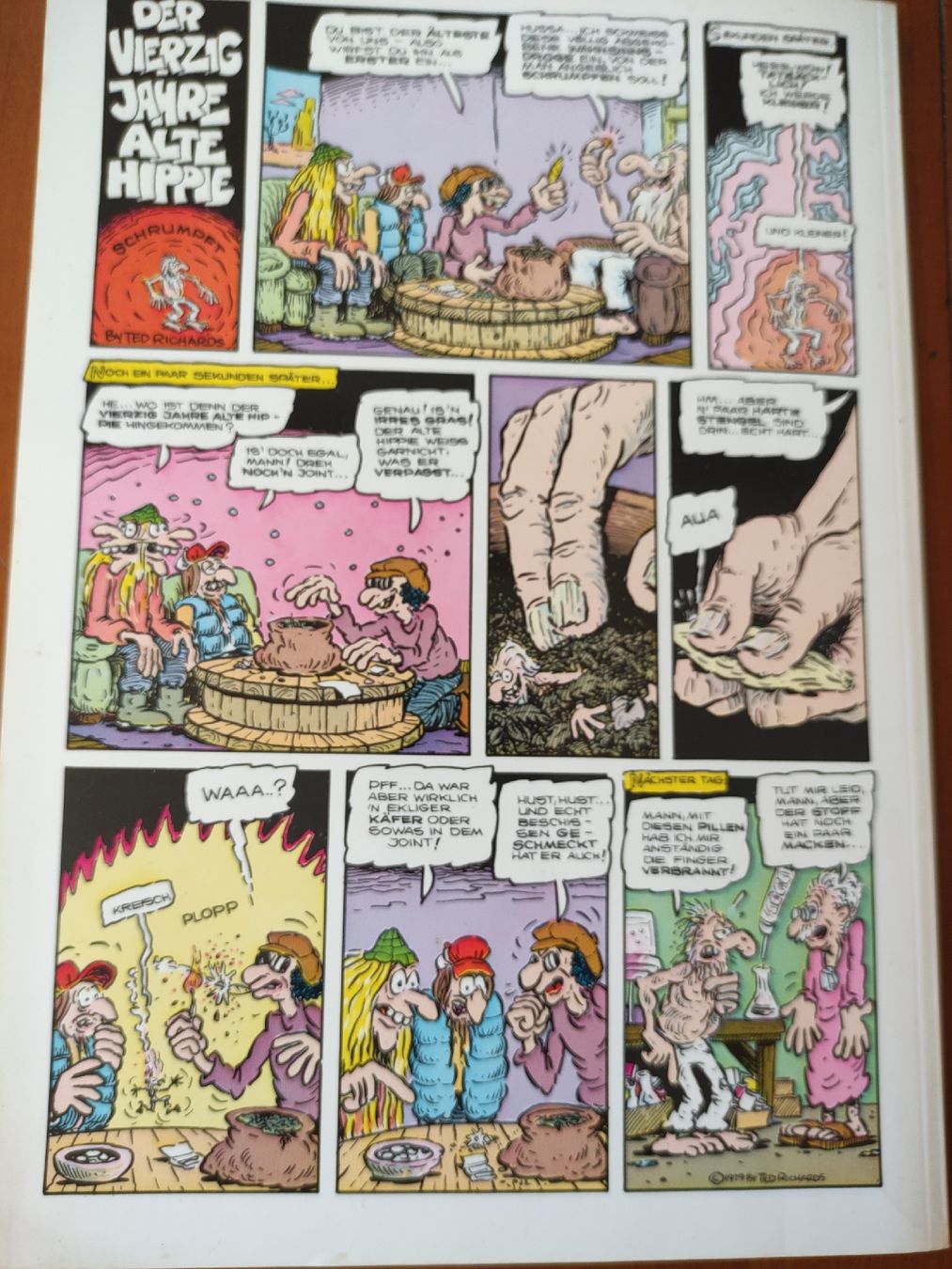 Comics: Der 40jährige Hippie, Ted Richards , Volksverlag – Gebraucht aus St. Gallen von Pintador 7