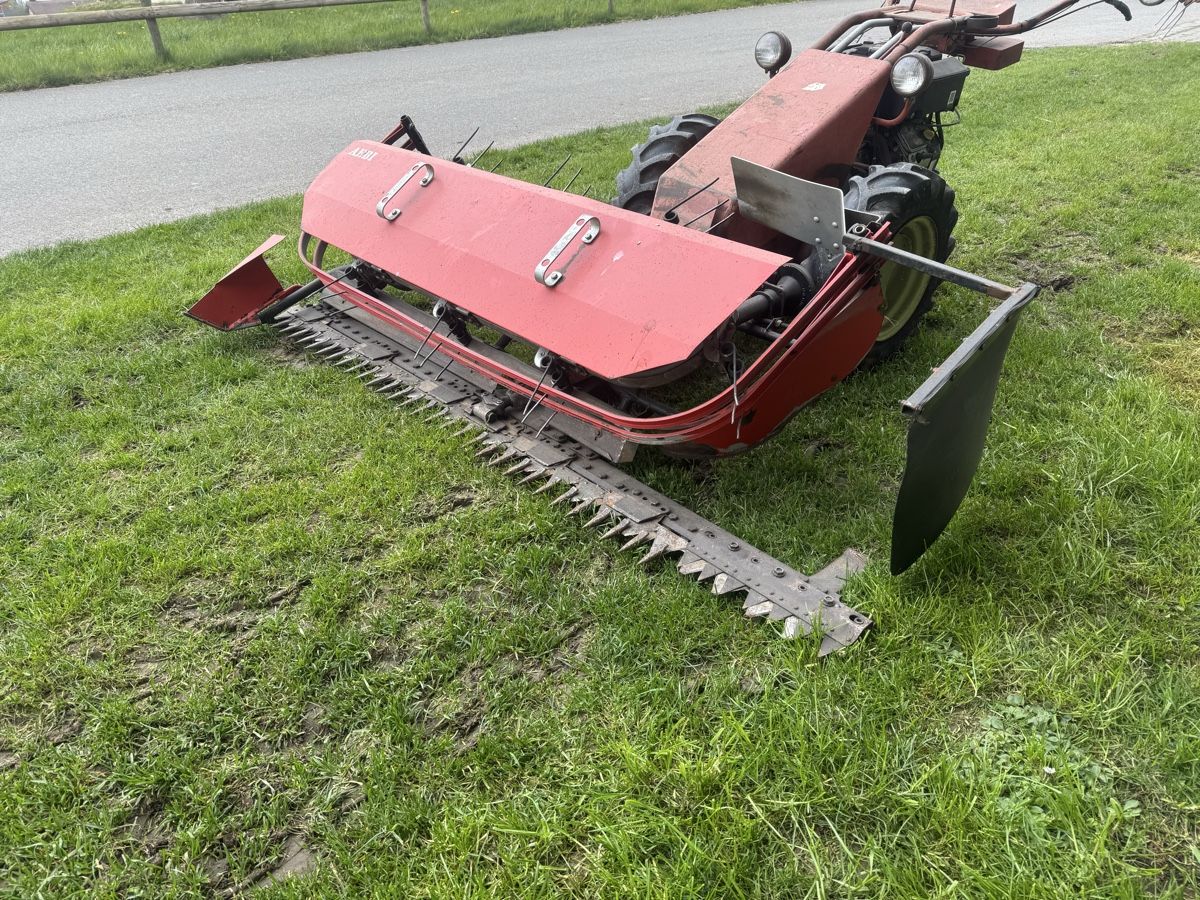 Aebi Tutte le macchine: Motormäher Aebi AM 41 mit Vanguardmotor – Usato da Winden venduto da farmalld439 4