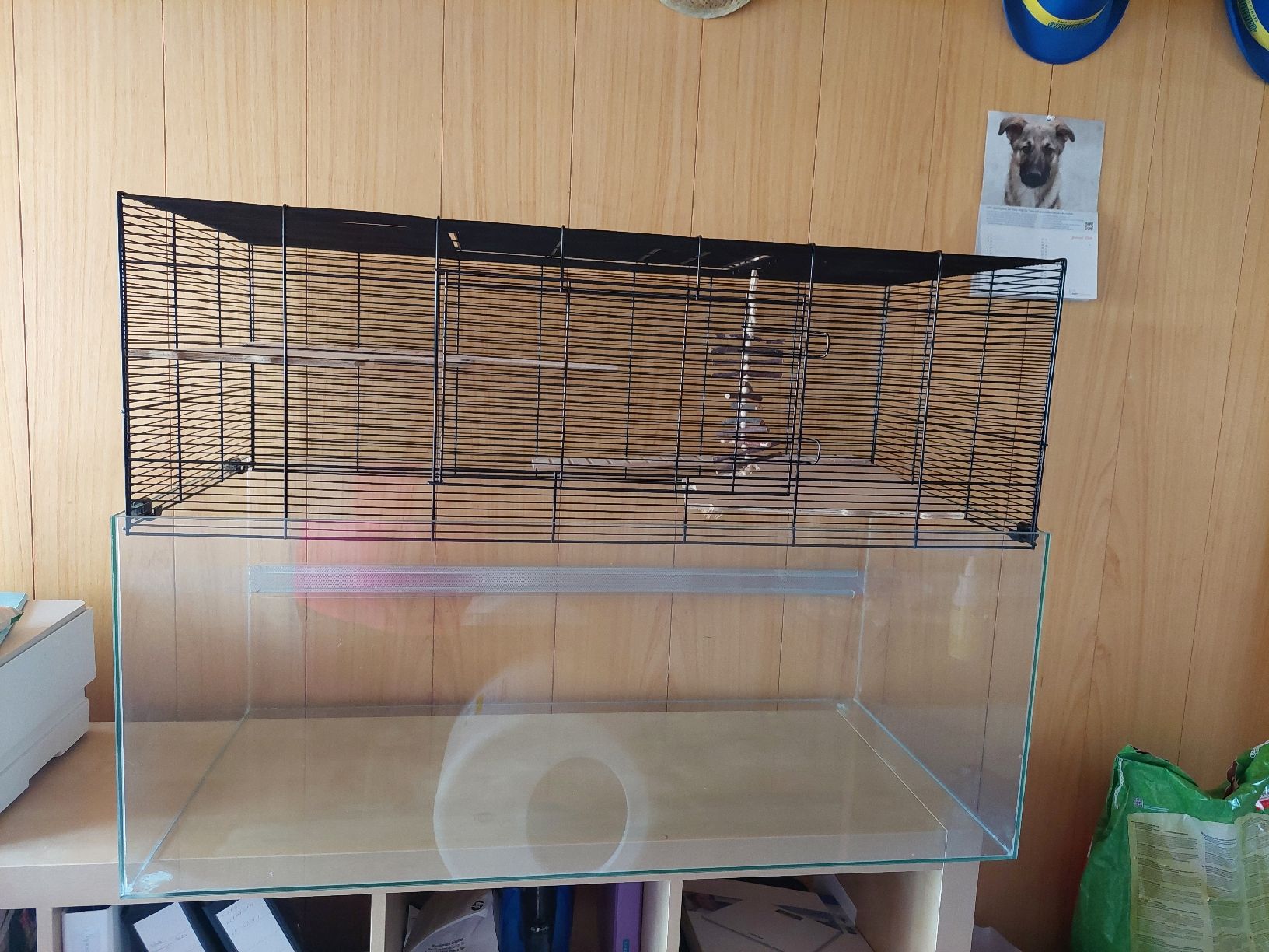 Käfige, Transport & Sicherheit: Hamster/Mäuse Käfig – Gebraucht aus Marbach LU von sch_5zf7