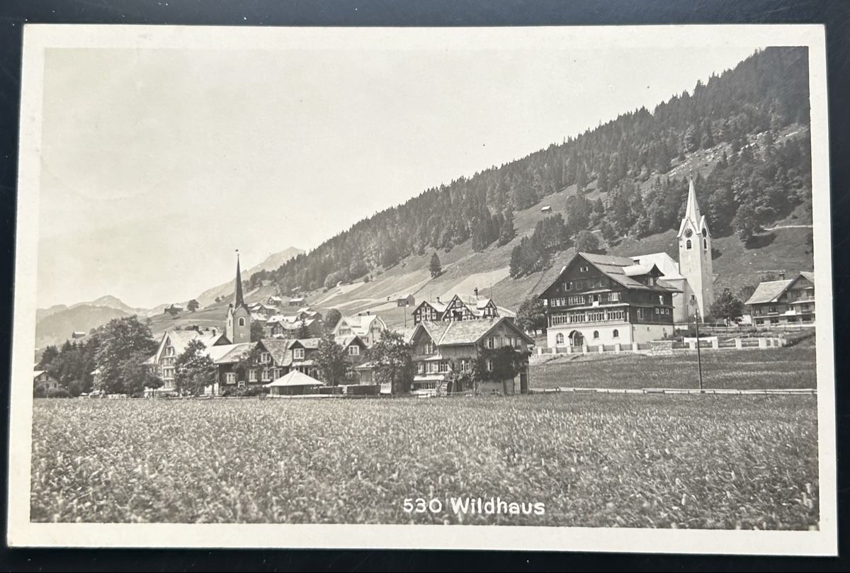 Cartoline postali: Fotokarte Wildhaus  – Usato da Horw venduto da Tellbub