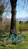 Ladies Classic 7-speed Vintage Bike Turquoise