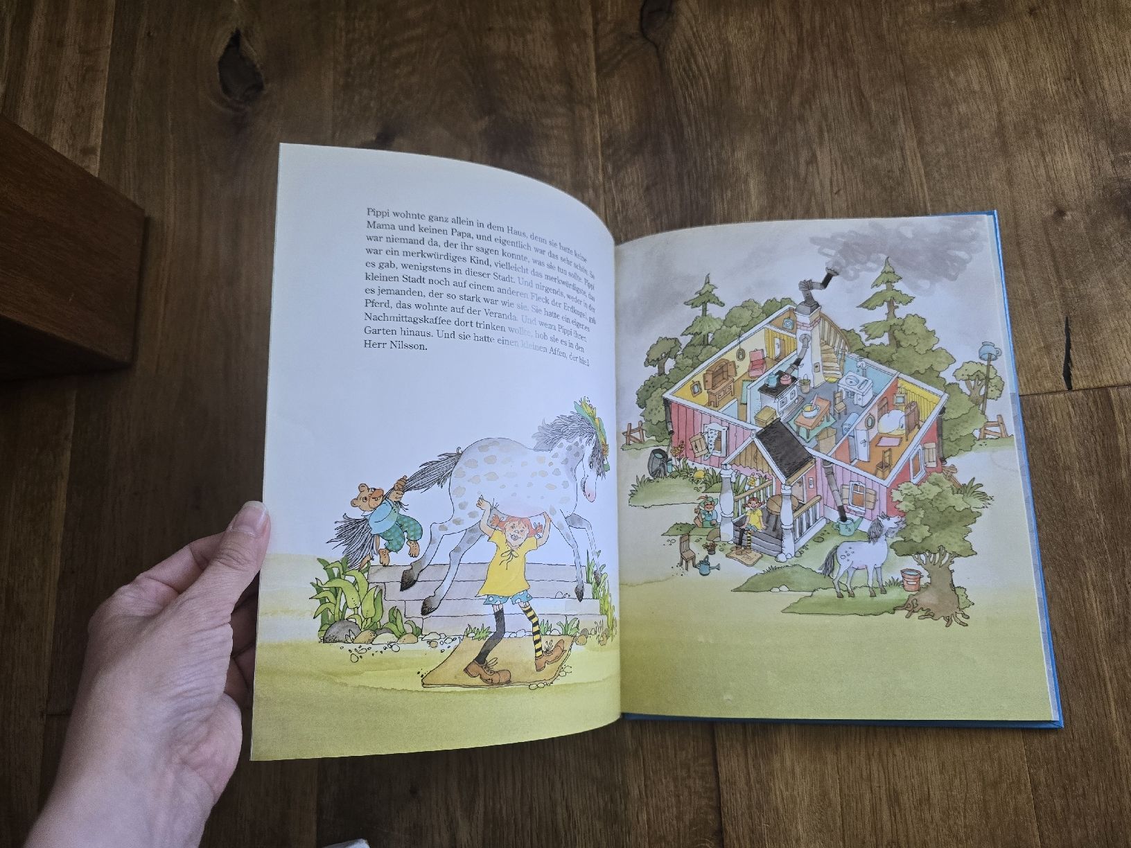 Libri: Astrid Lindgren: Pippi feiert Geburtstag - Kinderbuch! – Usato da Wittenbach venduto da Tigerlili 5