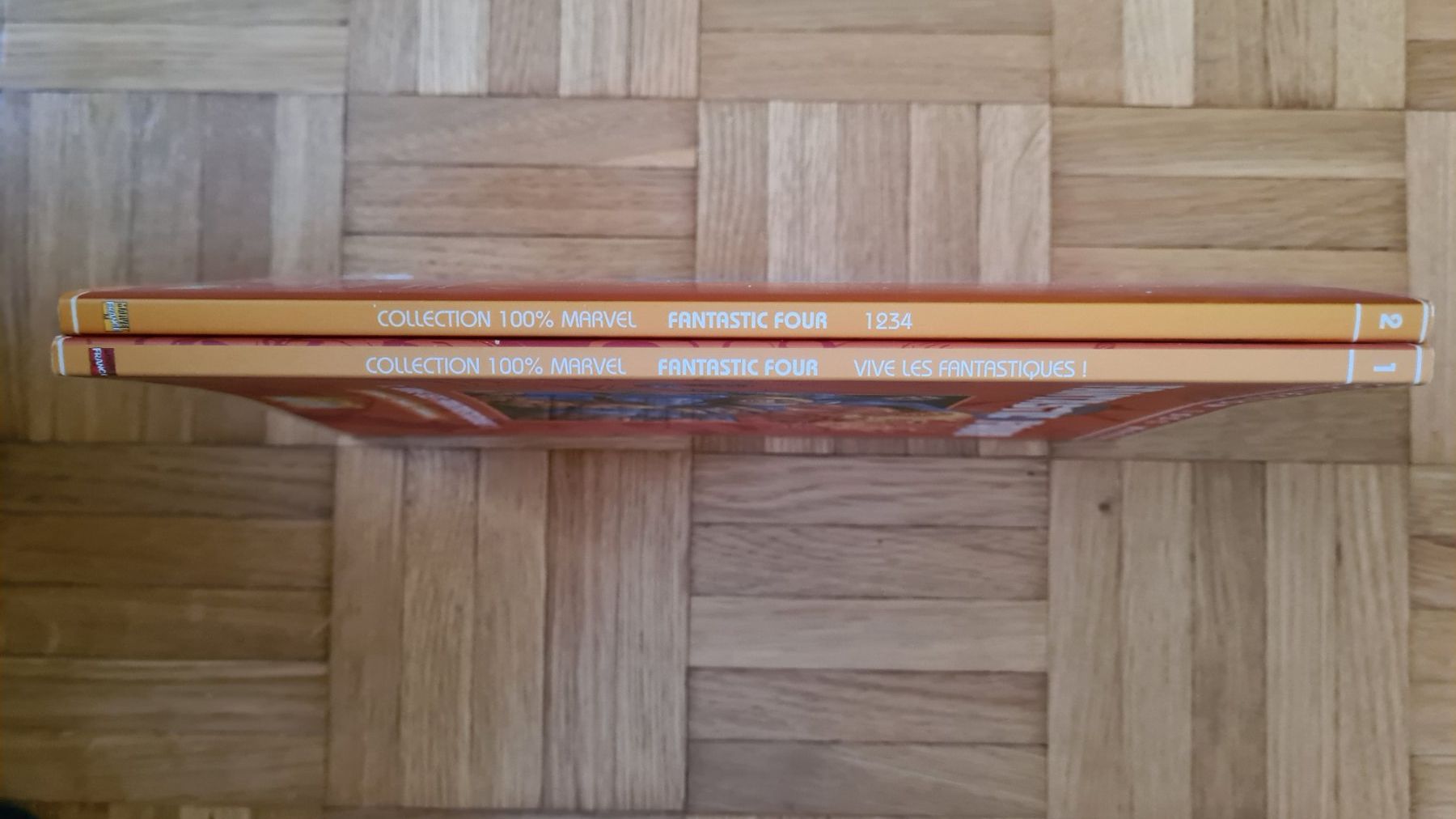 Comics: Fantastic Four (lot de 2, 100% Marvel) – Gebraucht aus Genève von fab2401 1