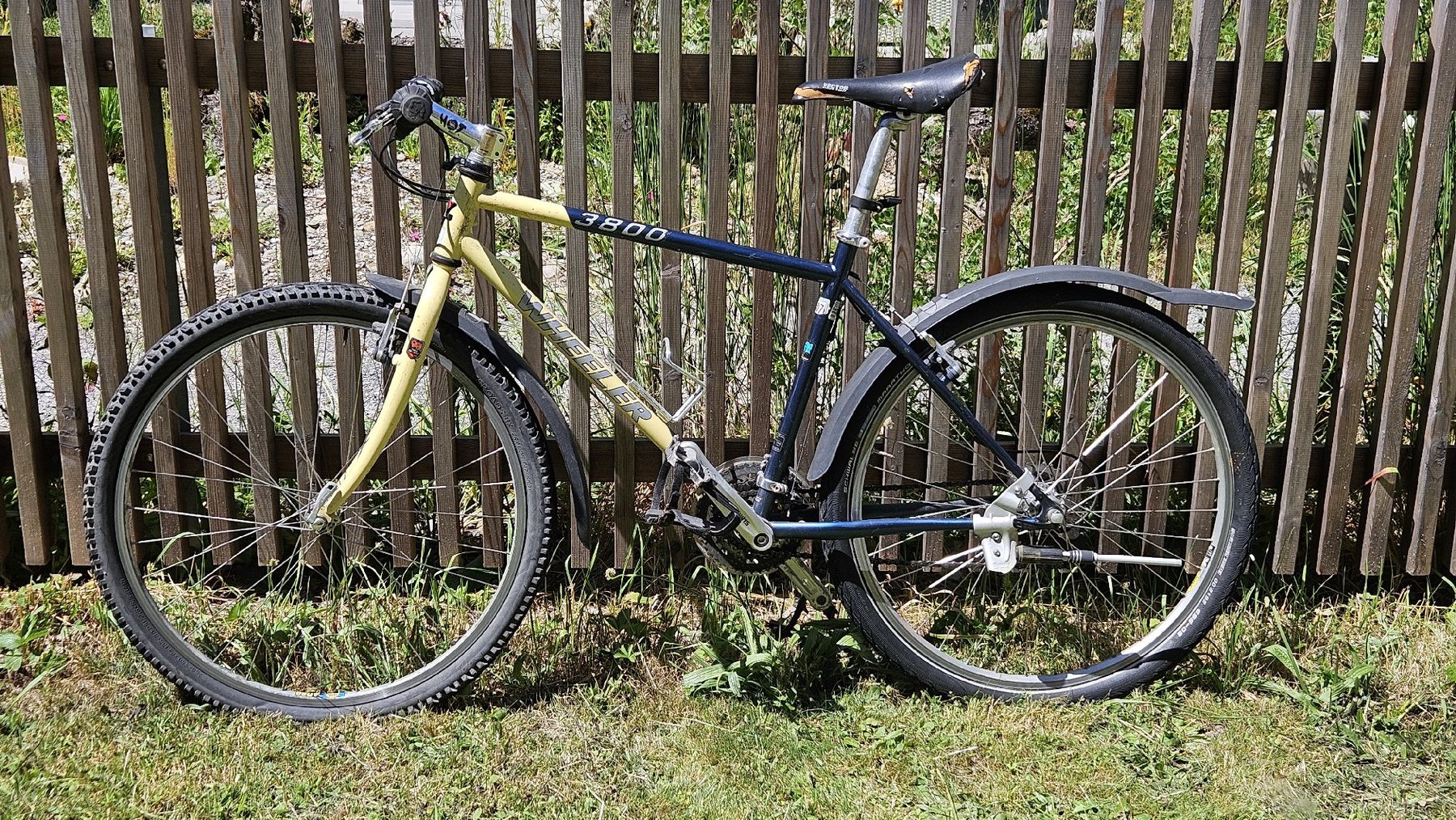 Wheeler Biciclette: WHEELER 3800 Mountainbike – Usato da Zürich venduto da Kingphil1