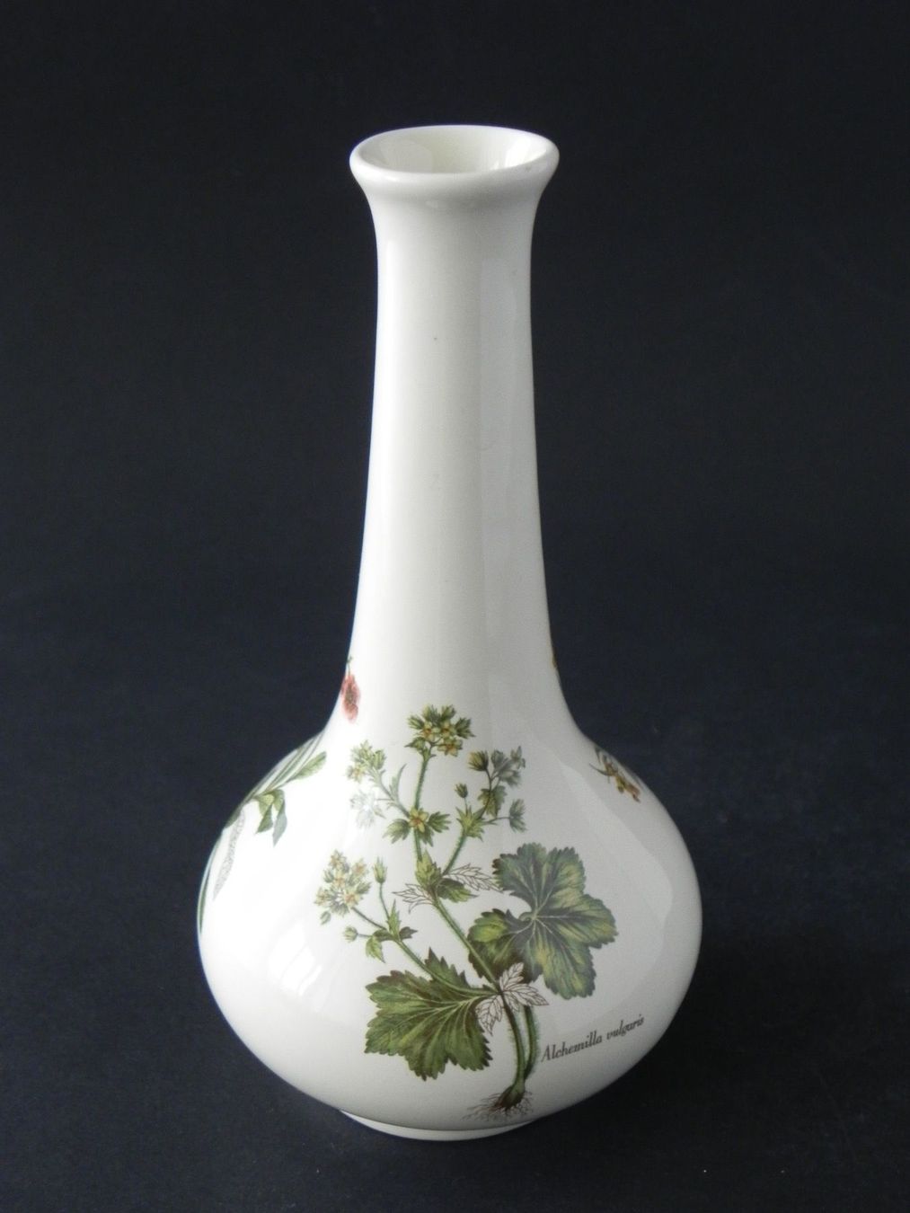 Vasi & Recipienti: Hübsche kleine Vase Poole - England – Nuovo (secondo la descrizione) da Zürich venduto da LodgE-21 1