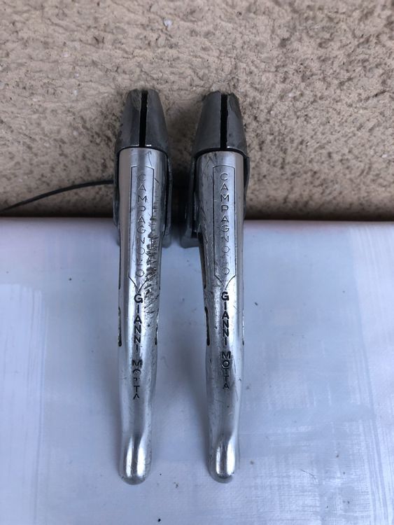 Plateau Vélo Campagnolo Gianni Motta 49 Dents – NOS, 144 BCD, Alu, Pour Vélo Rétro