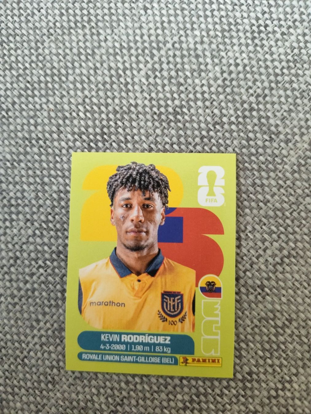 Panini Carte collezionabili: Panini WM 2026 ECU 19, Rodriguez – Usato da Aarburg venduto da gloeckgloeck