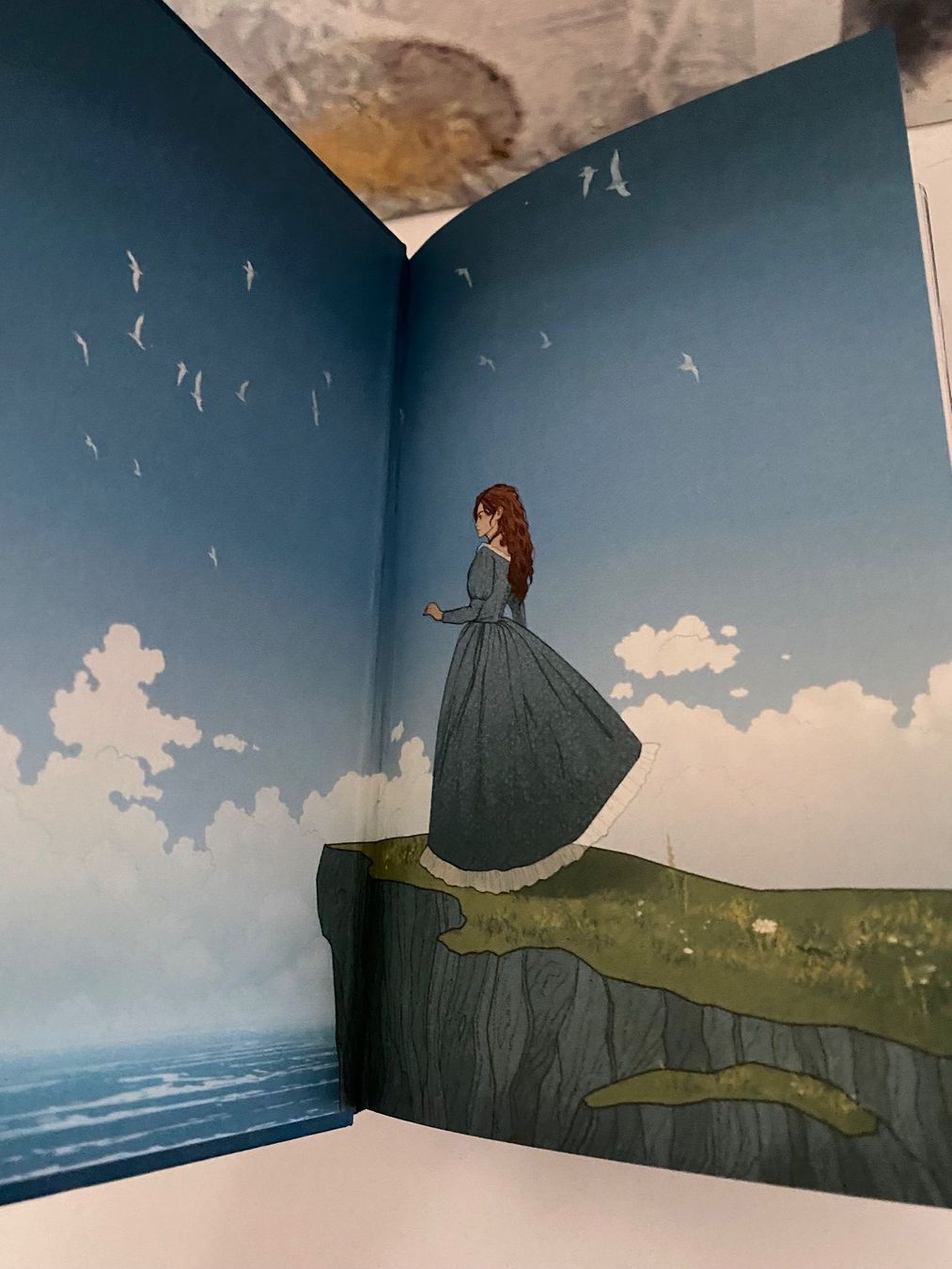 Bücher: Buch Shield of Sparrows Devney Perry Special Edition – Neu (gemäss Beschreibung) aus Fällanden von Maxim20 3