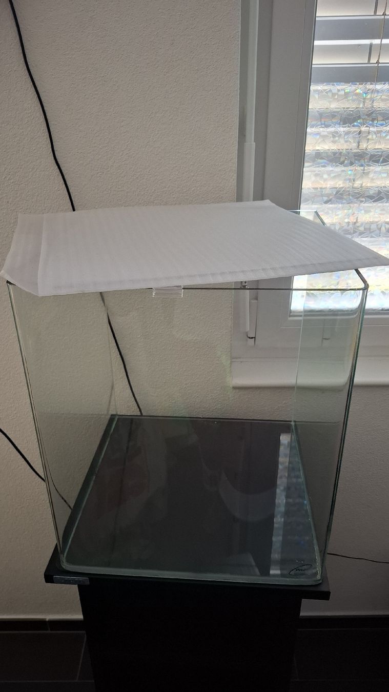 Aquarium: Aquarium 60 L aquaristic  – Neu (gemäss Beschreibung) aus Möriken AG von car_r789 2