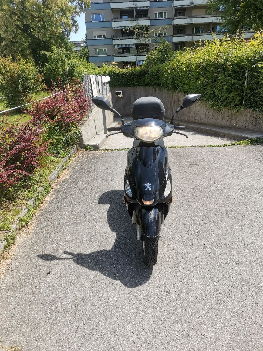 Strasse: Peugot v clic 50 ccm – Gebraucht aus Hinterkappelen von ben_h76y 1