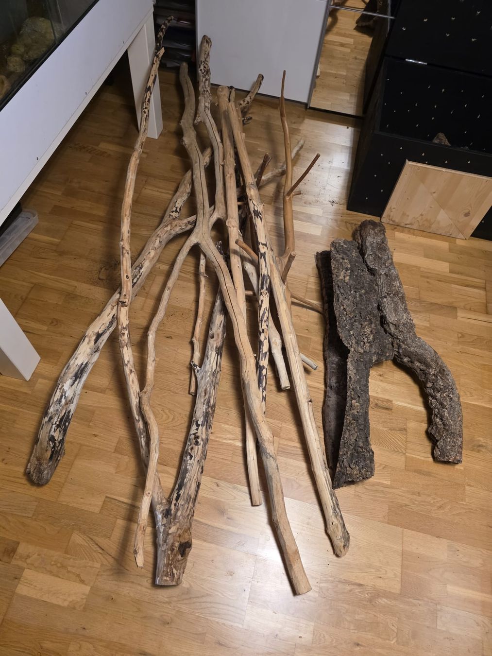 Articoli in legno: Lange Holzstöcke & Kork – Usato da Kirchberg SG venduto da Viperline 2