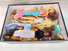 28 Dolls - 16 Mattel Barbie + 12 other types and models