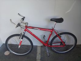 Herrenvelo
