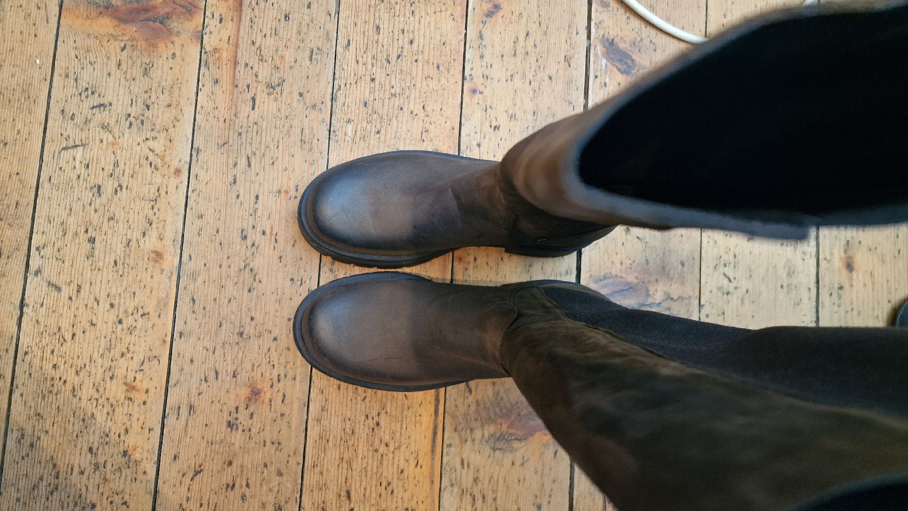 Scarpe da donna: stiefel braun Gr 38 – Nuovo (secondo la descrizione) da goldach venduto da seegoldi13 3
