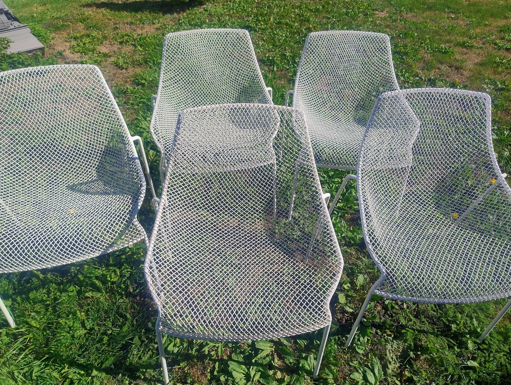 Emu Chaises: Set de 5 chaises EMU Heaven, chaises design – D'occasion à Martigny par jul_7s5x 1