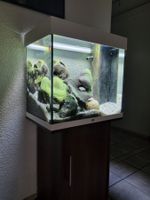 Aquarium - 3 Jahre alt - inkl Zubehör und Möbel