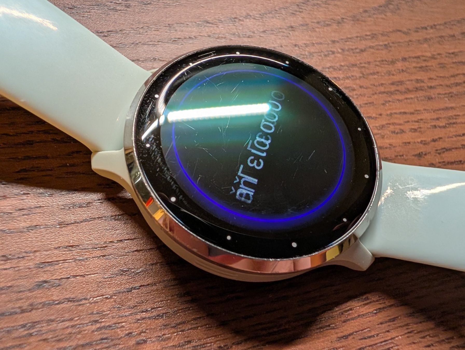 Garmin Smartwatch: Garmin Venu 3S 41mm Salbeigrau – Usato da Zürich venduto da BarryBlu 3