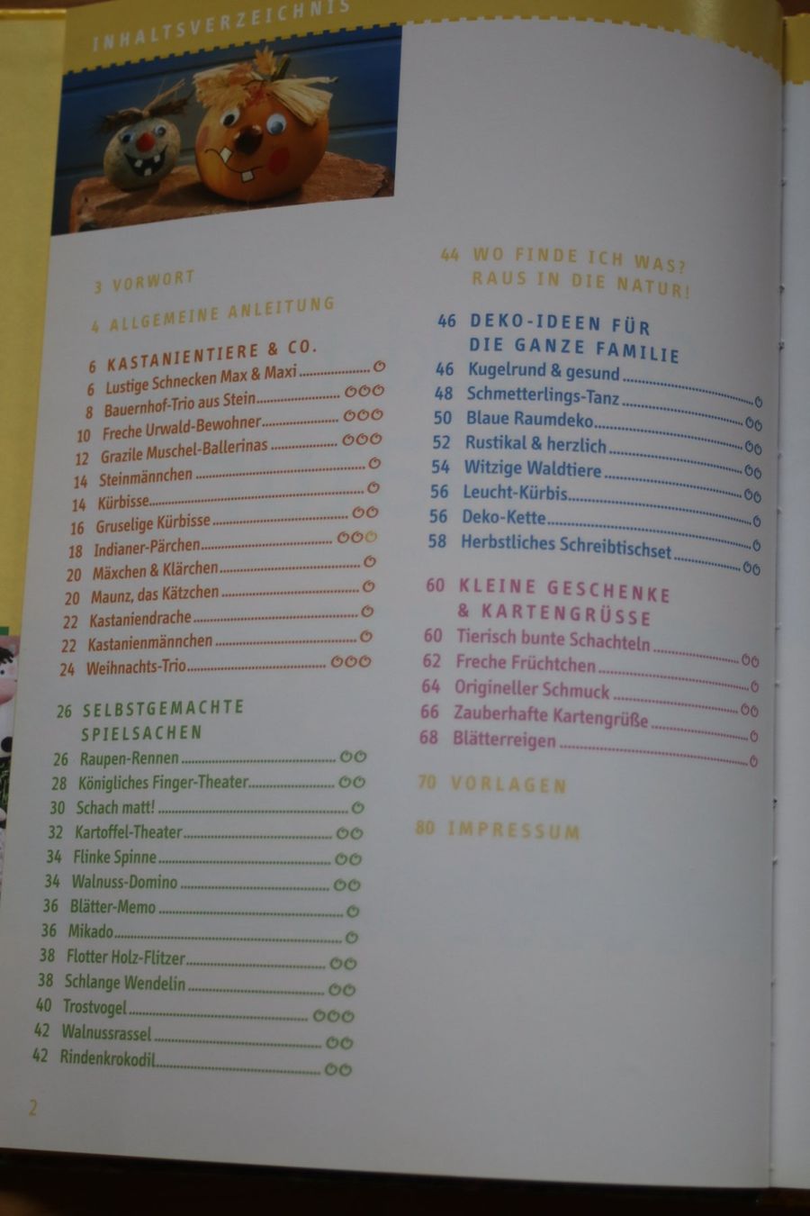 Libri: Buch: Schatzkiste Natur – Usato da St. Gallen venduto da Razoon77 1