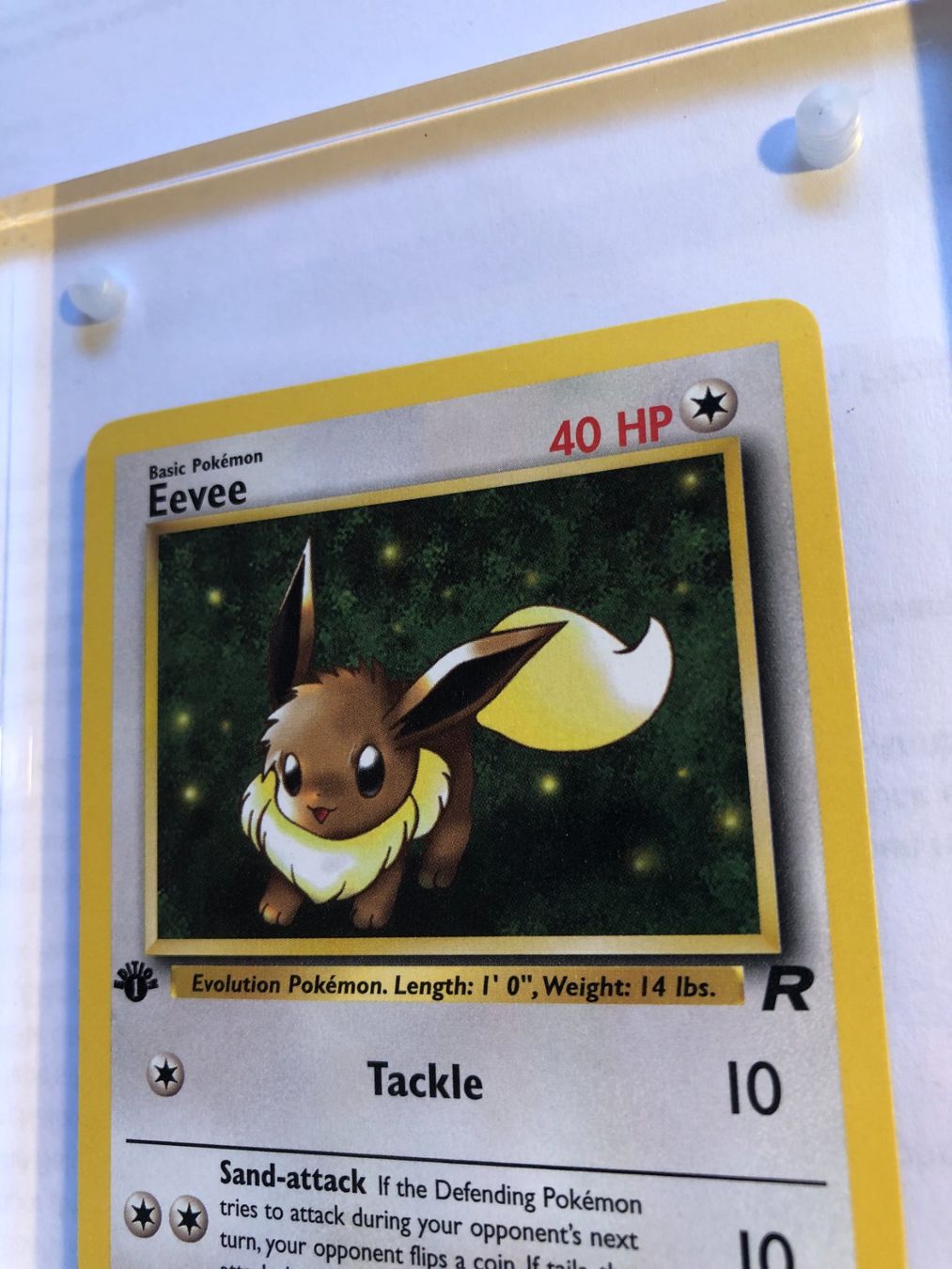 Sammelbilder & Trading cards: Eevee 1st Team Rocket - MINT - ab 1.- – Gebraucht aus Giubiasco von dan_pr8b 3