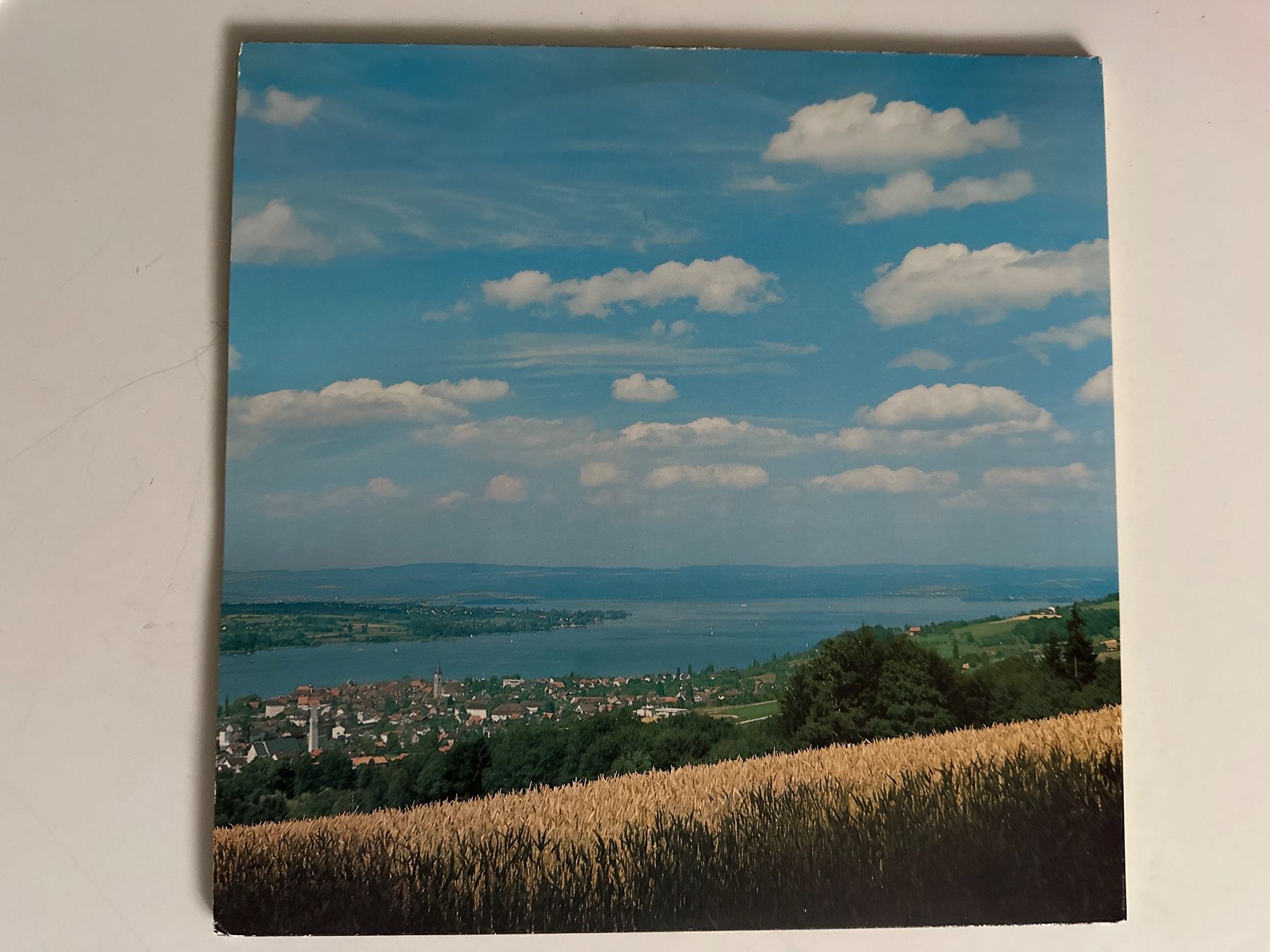 Dischi in vinile: Volkstümlicher Thurgau – Usato da Zürich venduto da Chaeffeler 1